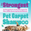 Dirtbusters Pet Pro Antibacterial Carpet Cleaner Shampoo Solution, Kills 99.99% Of Bacteria (5L)