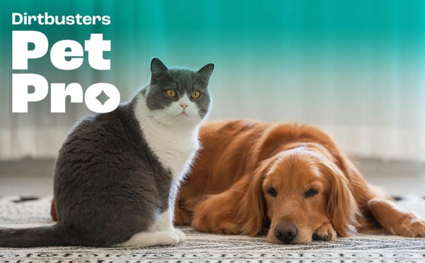 How to Clean up Pet Mess & Smells in your Home & Garden - Pet Pro by Dirtbusters - dirtbusters.co.uk