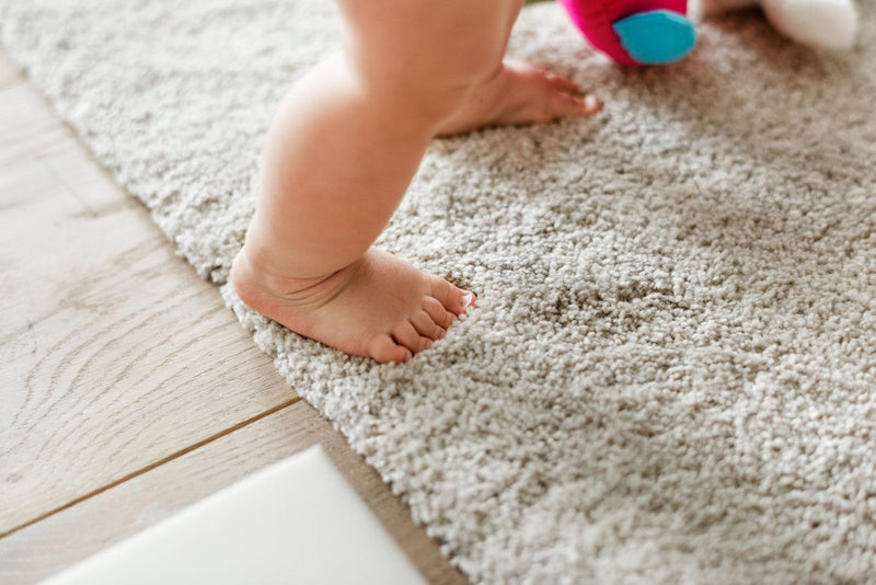 The Do's and Dont's of carpet cleaning - dirtbusters.co.uk