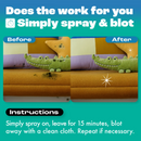 Mould Remover Spray for Fabric & Upholstery (500ml)