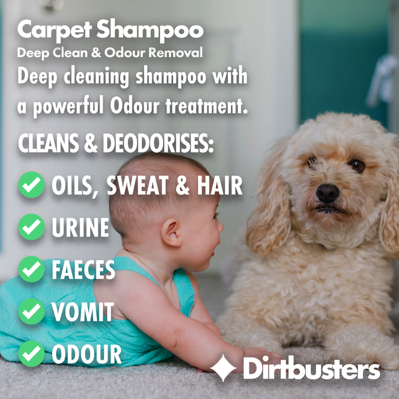 Clean & Deodorise Carpet Shampoo, 3-in-1, Orange Fresh (5L)