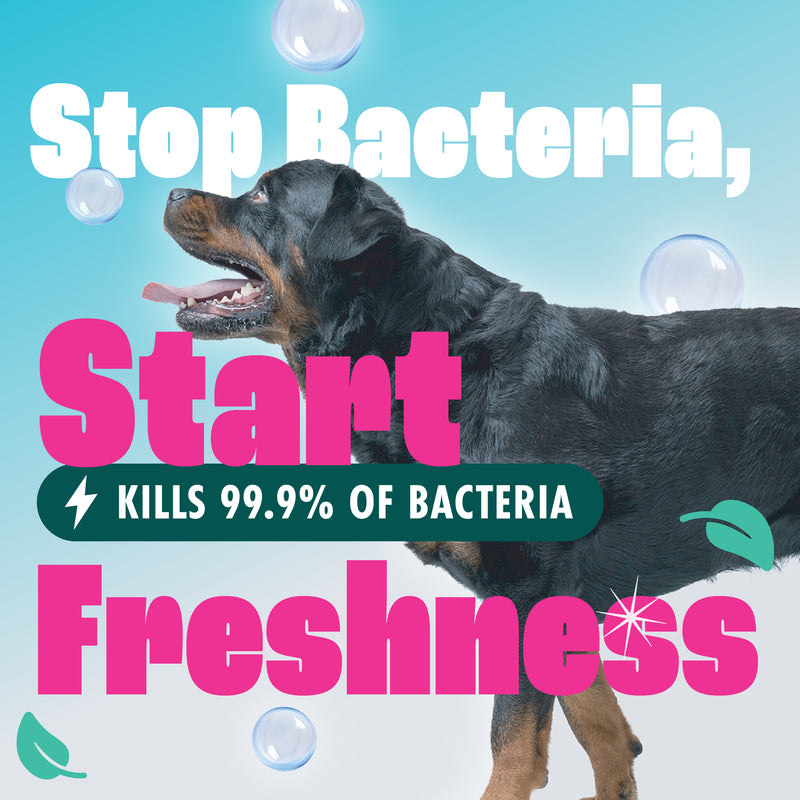 Dirtbusters Pet Pro Anti-Bac Spot Wash Solution (1L)