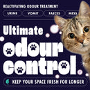 Dirtbusters Car Valeting Carpet & Upholstery Cleaner Shampoo (5 Litre)