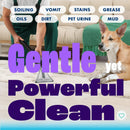 Dirtbusters Carpet Prespray High ph No.3 Cleaner (5 litre) TRADE