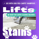 Dirtbusters Carpet Prespray High ph No.3 Cleaner (5 litre) TRADE