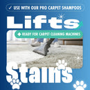 Dirtbusters Carpet Prespray Medium ph No.2 Cleaner (5 litre) TRADE