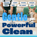 Dirtbusters Carpet Prespray Medium ph No.2 Cleaner (5 litre) TRADE