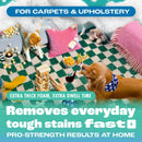 Dirtbusters Foaming Carpet Stain Remover (400ml)