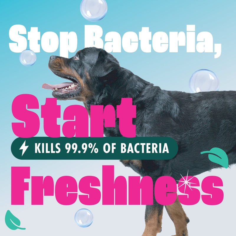 Dirtbusters Pet Pro Anti - Bac Spot Wash Solution (1L)