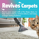 Dirtbusters Pet Pro Anti - Bac Spot Wash Solution (1L)