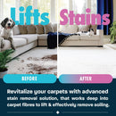 Dirtbusters Pet Pro Anti - Bac Spot Wash Solution (1L)