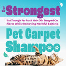 Dirtbusters Pet Pro Antibacterial Carpet Cleaner Shampoo (1L)