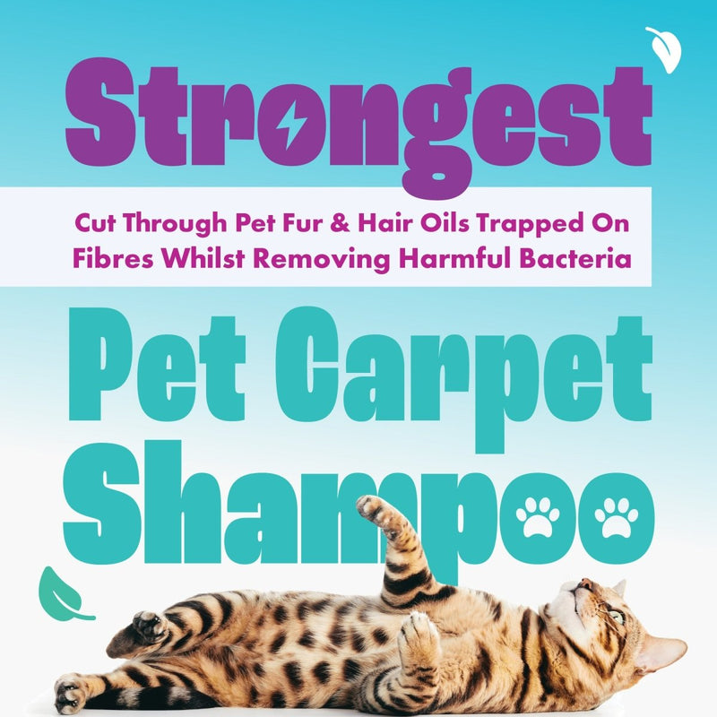 Dirtbusters Pet Pro Antibacterial Carpet Cleaner Shampoo Solution, Kills 99.99% Of Bacteria (5L)