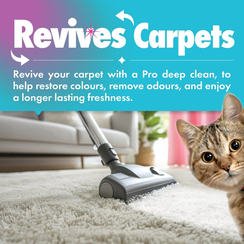 Fix Carpet How To Stop A Cat From Pulling Up Carpet SNUGGLYCAT