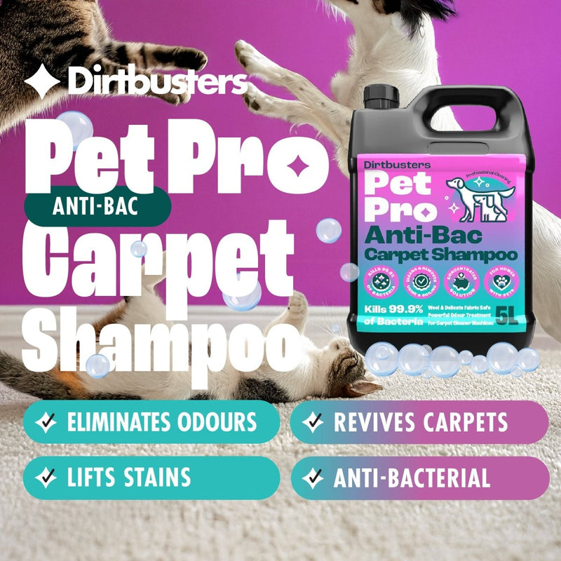 Dirtbusters Pet Pro Antibacterial Carpet Cleaner Shampoo Solution, Kills 99.99% Of Bacteria (5L)