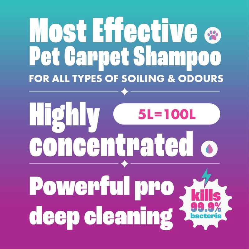 Dirtbusters Pet Pro Antibacterial Carpet Cleaner Shampoo Solution, Kills 99.99% Of Bacteria (5L)