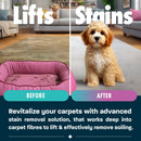 Dirtbusters Pet Pro Antibacterial Carpet Cleaner Shampoo Solution, Kills 99.99% Of Bacteria (5L)