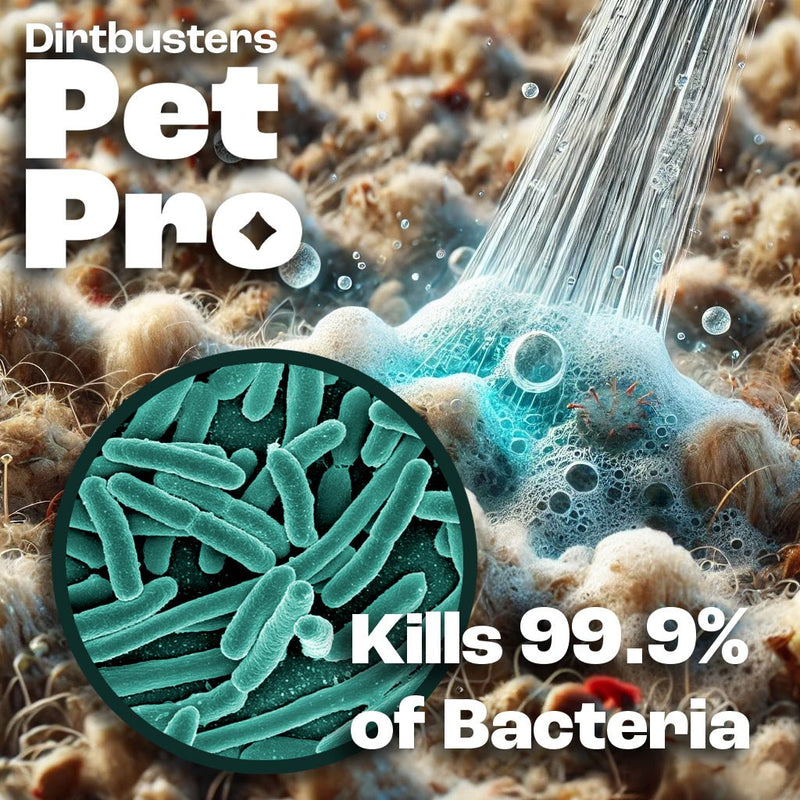 Dirtbusters Pet Pro Antibacterial Carpet Cleaner Shampoo Solution, Kills 99.99% Of Bacteria (5L) - dirtbusters.co.uk