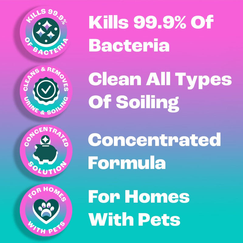 Dirtbusters Pet Pro Antibacterial Carpet Cleaner Shampoo Solution, Kills 99.99% Of Bacteria (5L) - dirtbusters.co.uk