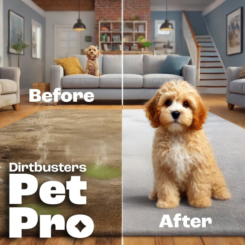 Dirtbusters Pet Pro Antibacterial Carpet Cleaner Shampoo Solution, Kills 99.99% Of Bacteria (5L) - dirtbusters.co.uk