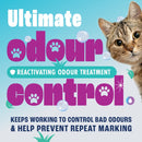 Dirtbusters Pet Pro Artificial Grass Cleaner, Powerful Cleaning, Stain Remover & Odour Eliminator For Cats & Dogs Urine & Bad Odours, Use On Astro Turf (1L)