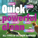 Dirtbusters Pet Pro Artificial Grass Cleaner, Powerful Cleaning, Stain Remover & Odour Eliminator For Cats & Dogs Urine & Bad Odours, Use On Astro Turf (1L)
