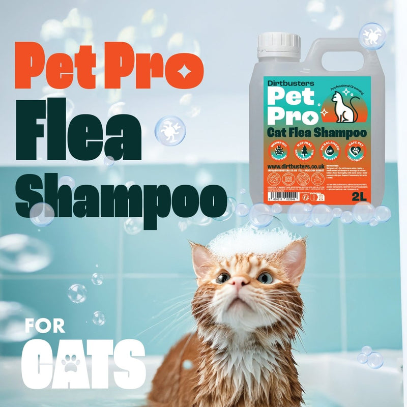 Dirtbusters Pet Pro Cat Flea Shampoo (2L) - dirtbusters.co.uk