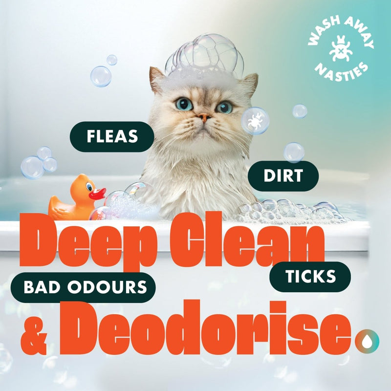 Dirtbusters Pet Pro Cat Flea Shampoo (2L) - dirtbusters.co.uk