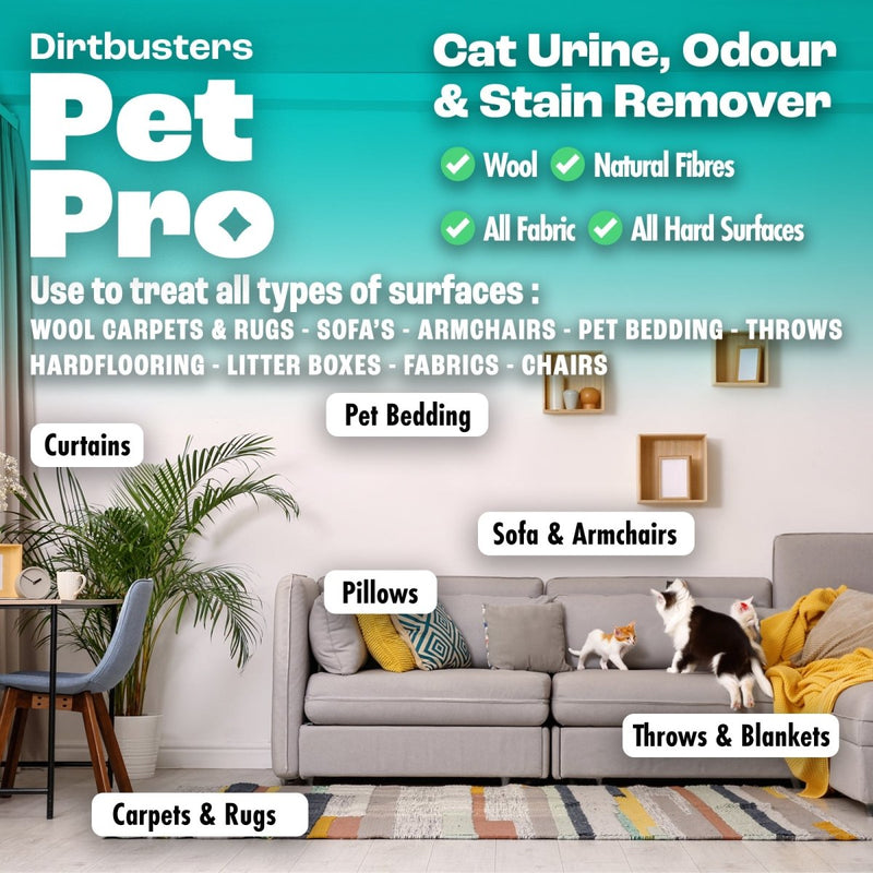 Dirtbusters Pet Pro Cat Stain & Pet Odour Eliminator Spray, Powerful Cat Urine Enzyme Cleaner Use to Clean Pet Stain and Odour Remover, for Carpet, Fabric & Upholstery, Summer Fruits (500ml) - dirtbusters.co.uk