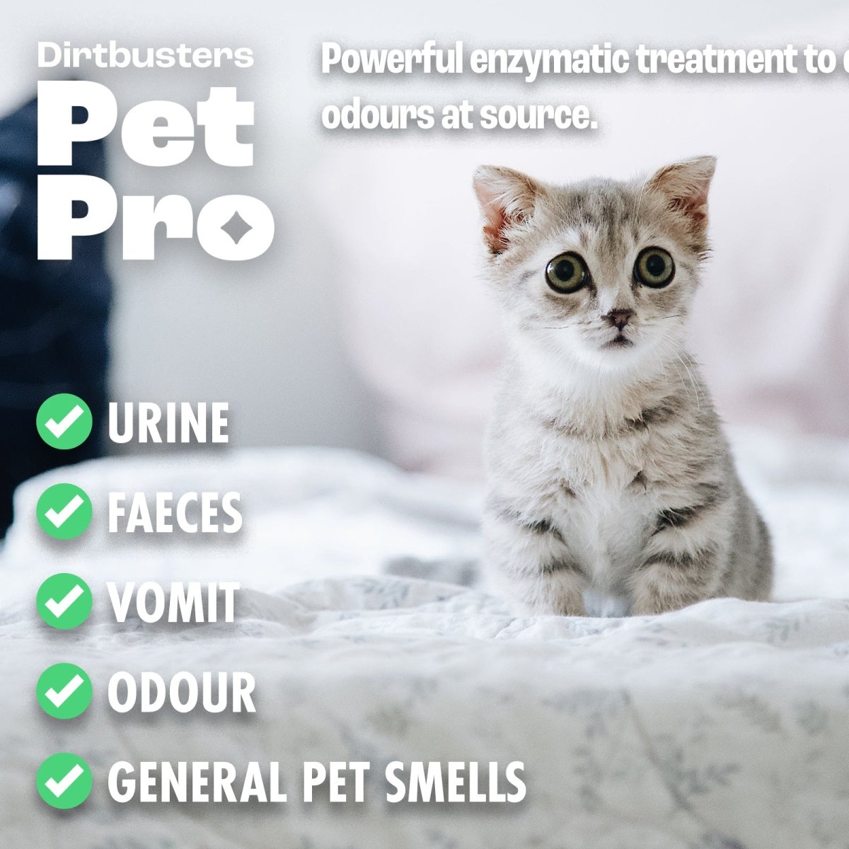 Dirtbusters Pet Pro Cat Stain Pet Odour Eliminator Spray 500ml