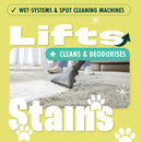 Dirtbusters Pro Acidic Fibre & Fabric Citrus Rinse Carpet Shampoo, pH & Colour Stabiliser To Prevent Colour Bleed & Browning (5L)