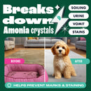 Dirtbusters Pro Acidic Fibre & Fabric Citrus Rinse Carpet Shampoo, pH & Colour Stabiliser To Prevent Colour Bleed & Browning (5L)