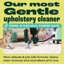 Dirtbusters Pro Acidic Fibre & Fabric Citrus Rinse Carpet Shampoo, pH & Colour Stabiliser To Prevent Colour Bleed & Browning (5L)