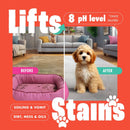 Dirtbusters Pro Carpet Cleaner Shampoo, Deep Clean & Neutralise Powerful Professional Standard Cleaning Solution With Odour Neutraliser (5L)