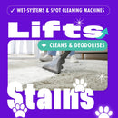 Dirtbusters Pro Carpet Cleaner Shampoo, Powerful Professional Deep Clean & Protect Cleaning Solution with Stain Protection Technology & Odour Treatment (5L)