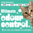 Dirtbusters Pro Carpet Cleaner Shampoo, Powerful Professional Deep Clean & Protect Cleaning Solution with Stain Protection Technology & Odour Treatment (5L)