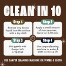 Dirtbusters Pro Carpet Stain Remover Spray For Tea, Coffee & Brown Tannin Stains & Dark Staining (1L)