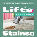 Dirtbusters Pro Carpet Stain Remover Spray For Tea, Coffee & Brown Tannin Stains & Dark Staining (1L)