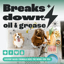 Dirtbusters Pro Grease, Oil, Gum, Tar & Makeup Stain Remover (1L)