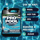 Dirtbusters Pro Pool Algaecide For Swimming Pools & Hot Tubs Concentrate (5L)