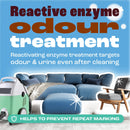 Dirtbusters Pro Urine & Odour Destroyer Enzyme Cleaner For Carpet & Upholstery, Neutralise & Remove Odours At Source (5L)