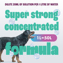 Dirtbusters Simply Carpet Cleaner Shampoo Solution (1L)