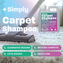 Dirtbusters Simply Carpet Cleaner Shampoo Solution (1L)