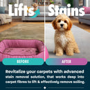 Dirtbusters Simply Carpet Cleaner Shampoo Solution (1L)