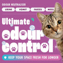 Dirtbusters Simply Carpet Cleaner Shampoo Solution (1L)