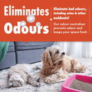 Dirtbusters Spot wash Carpet Cleaner Shampoo Solution (5L)