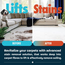 Dirtbusters Spot wash Carpet Cleaner Shampoo Solution (5L)