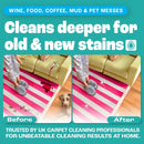 Foaming Carpet Stain Remover (400ml)