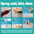 Foaming Carpet Stain Remover (400ml)