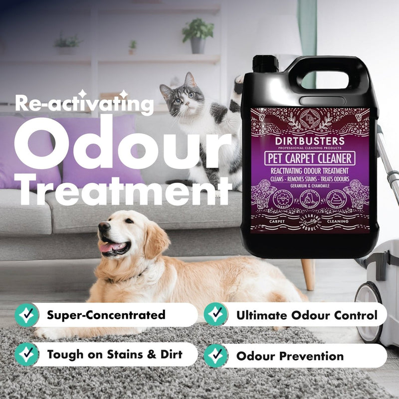 Pet Carpet Cleaner Shampoo Solution, For Odour & Stains (1L) - dirtbusters.co.uk